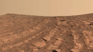 Book Spotted on Mars? Scientists Wonder if There Was a &lsquo;Geeky&rsquo; Civilisation on Red Planet After NASA&rsquo;s Curiosity Rover Finds Rock Structure Resembling a Book