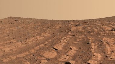 Book Spotted on Mars? Scientists Wonder if There Was a ‘Geeky’ Civilisation on Red Planet After NASA’s Curiosity Rover Finds Rock Structure Resembling a Book