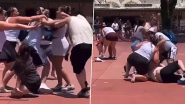 Disney World Fight: Major Brawl Erupts Between Families Over Photo Opportunity, Shocking Video Surfaces