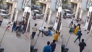 Pitbull Attack in Delhi Caught on Camera: Brave Woman Rescues Boy as Aggressive Pitbull Terrier Dog Attacks Locals in Uttam Nagar, Old Video Goes Viral Again