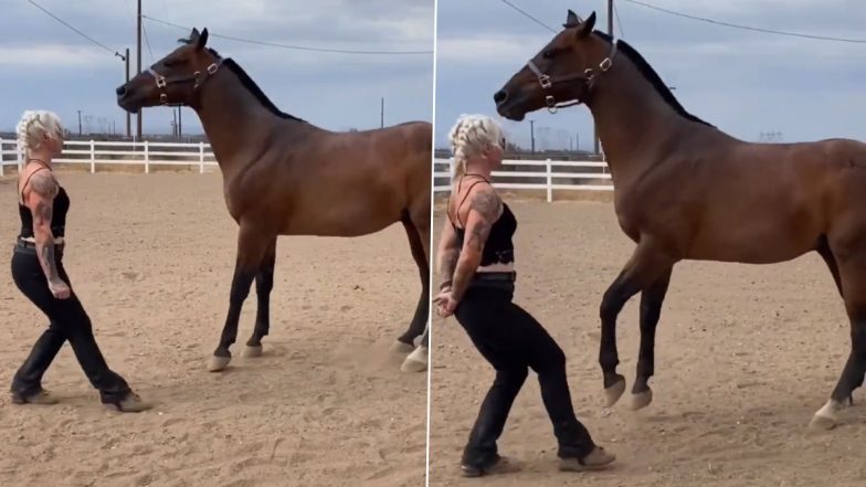 Horse Wonderfully Shakes a Leg on Rhythms and Beats of Music With Woman, Cute Video Goes Viral