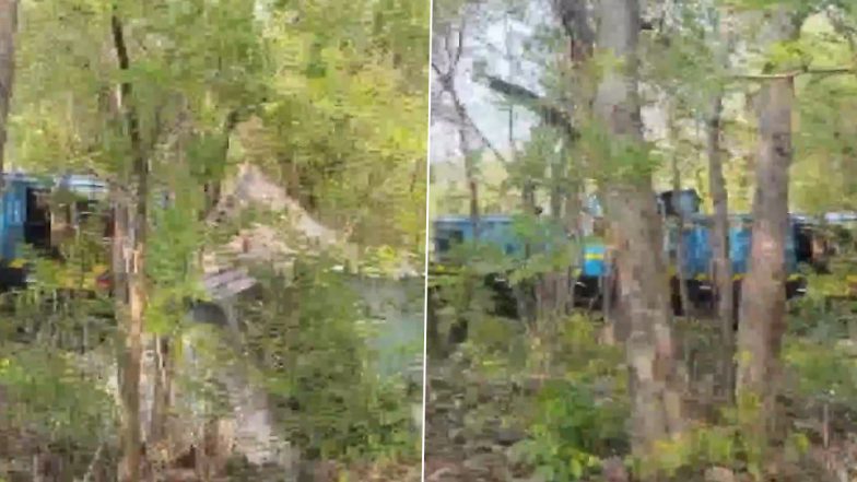 Goods Train Derails in Odisha: Wagons of Goods Train Derail on Private Narrow Gauge Rail Line in Bargarh; No Casualty (See Pics and Videos)