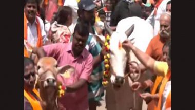 Karnataka: BJP Protests With Cows Against State Minister K Venkatesh’s Statement on Cow Slaughter in Bengaluru (Watch Video)