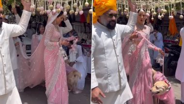 Sonnalli Seygall Makes a Beautiful Bride in Pink and White Saree With Long Bridal Dupatta As She Arrives for Her Wedding (Watch Video)