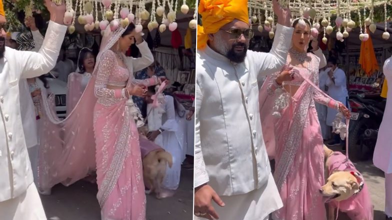 Sonnalli Seygall Makes a Beautiful Bride in Pink and White Saree With Long Bridal Dupatta As She Arrives for Her Wedding (Watch Video)