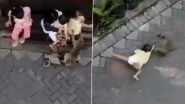 Monkey Attacks And Nearly 'Kidnaps' Child Playing Outside Home, Terrifying Video Surfaces