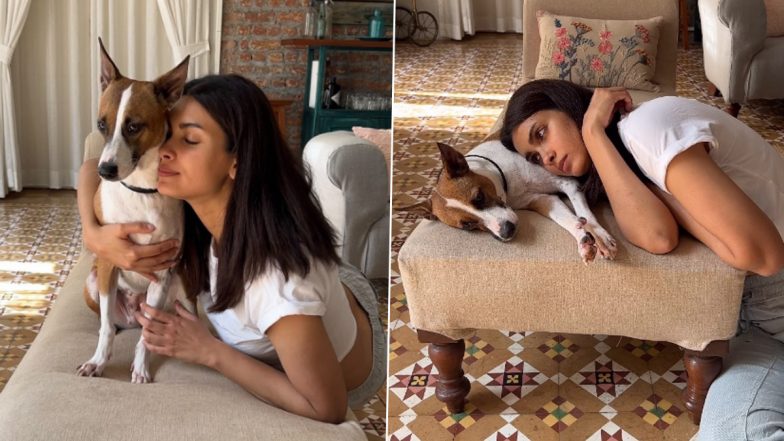 So Cute! Diana Penty Shares a Heartwarming Video Featuring Her Indie Dog Vicky (Watch)