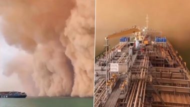 Dust Storm in Suez Canal Videos: Massive Sandstorm Sweeps Across Suez Canal in Egypt, Terrifying Footages Surface Online