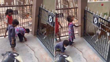 So Cute! Homeless Girl Plays Fetch With Dog, Heart-Touching Video Goes Viral (Watch)