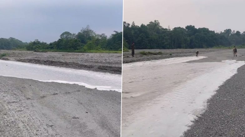 'How Rivers Are Made': IFS Officer Shares Beautiful Video of Newly-Made River Passing Through Forest