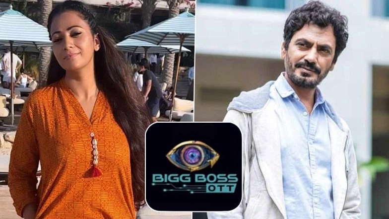 Bigg Boss OTT Season 2: Aaliya Opens Up About Divorce With Nawazuddin Siddiqui, Says &lsquo;It's Important to Finish the Job&rsquo;