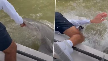 Shark Attack in Everglades National Park Video: Man Dips Hands in Water, Gets Dragged and Mauled by Shark in Viral Clip (Watch)