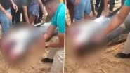 Shark Beaten to Death in Egypt Videos: Locals Kill Tiger Shark That Ate Russian Tourist Alive in Red Sea, Disturbing Footage Goes Viral