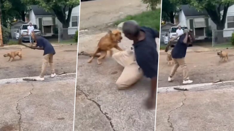 Dog Attack Video: Man Tries to Fight Two Dogs With Wooden Log, Fails Miserably