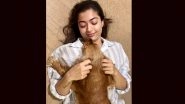Rashmika Mandanna Melts Hearts with Adorable Pet Pic: Proving Her Furry Friend Makes Everything Better!