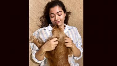 Rashmika Mandanna Melts Hearts with Adorable Pet Pic: Proving Her Furry Friend Makes Everything Better!