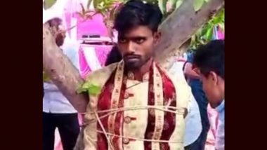 UP Groom Tied to Tree Over Dowry Demand Video: Bride's Family Holds Groom Captive by Tying Him to Tree for Demanding Dowry in Pratapgarh