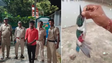Animal Cruelty in Odisha: Man Posts Video of torturing Kingfisher bird on Instagram, Arrested