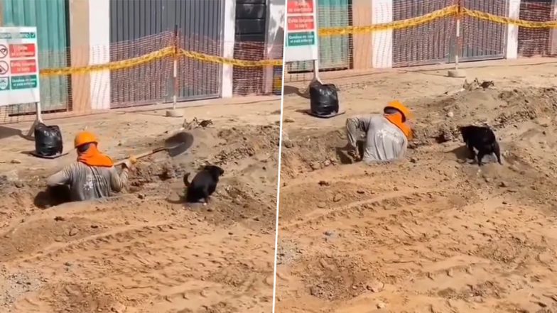 Man's Best Friend! This Adorable Video of Little Dog Helping a Construction Worker Will Make You Go Awww! (Watch)