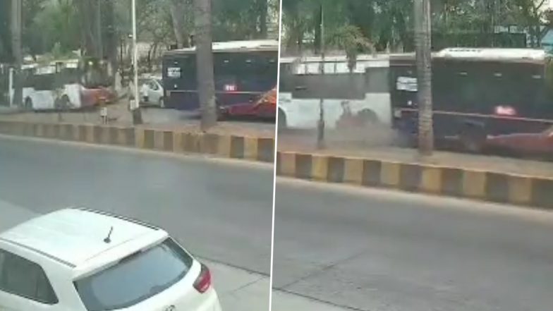 Mumbai Road Accident Video: Morning Walker Crushed to Death After Two Buses Collide in Cuffe Parade