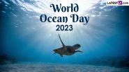 World Oceans Day 2023 Date & Theme: Know History and Significance of the Day That Raises Awareness About the Protection of the Ocean