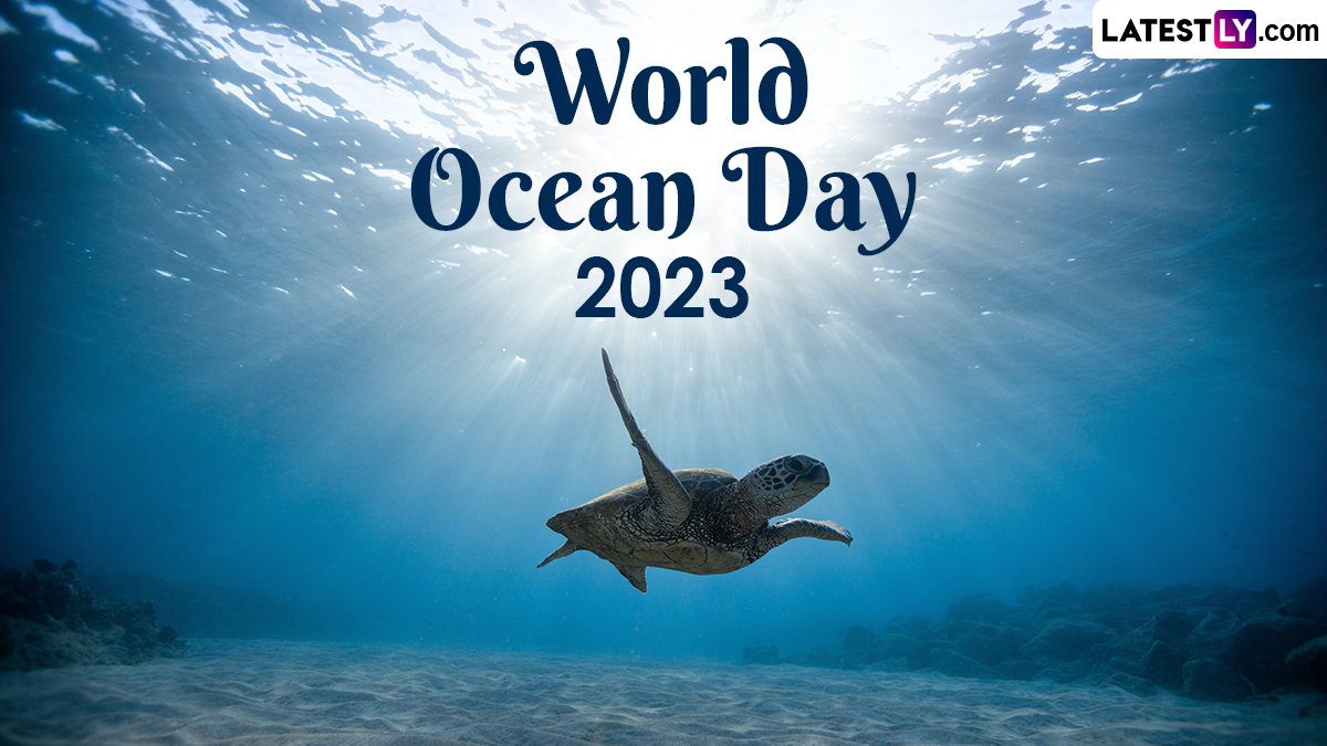 Festivals & Events News When Is World Oceans Day 2023? Know Theme