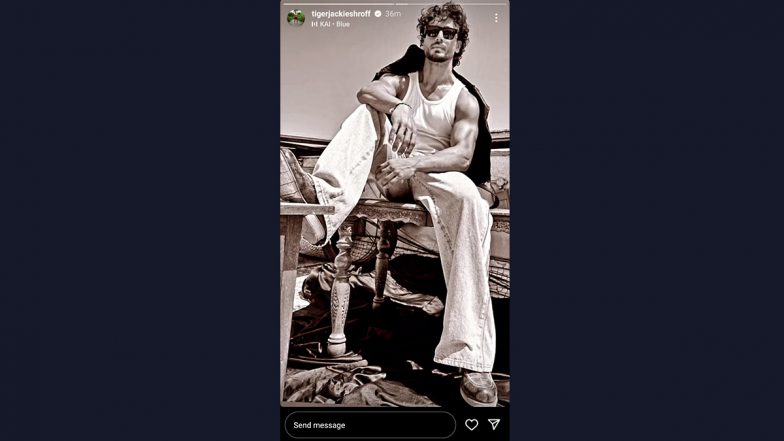 Tiger Shroff Impresses Fans As He Strikes a Cool Pose! Check Out Bade Miyan Chote Miyan Actor’s Insta Pic