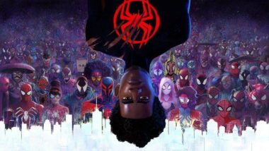 Spider-Man Across the Spider-Verse: Check Out the 5 Surprise Cameos From Shameik Moore's Marvel Film! (SPOILER ALERT)