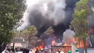 Andhra Pradesh Blast: Seven Suffer Burns Injuries After Explosion at Pharma Company in Anakapalli District (Watch Video)