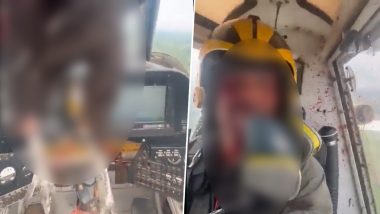 Bird Hits Airplane Video: Huge Bird Smashes Through Windshield, Blood-Covered Pilot Calmly Captures the Aftermath and Lands Safely! (Watch Viral Clip)