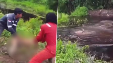 Cruel Men Feed Dog to Crocodiles for Stealing Their Food in Indonesia, Horrifying Video of Animal Cruelty Goes Viral (Graphic Content Warning)