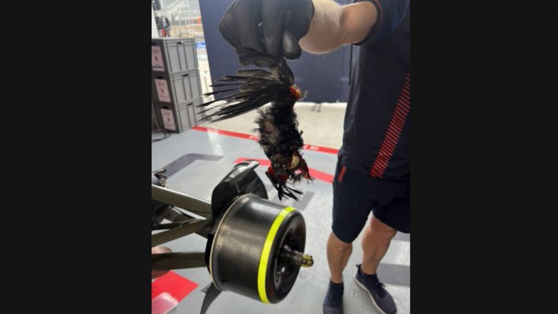 Max Verstappen Won Canadian GP 2023 Despite Dead Bird Stuck in his Car, Viral Video Captures the Scary Moment