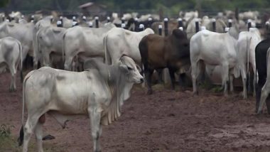 Uttar Pradesh: VHP’s Gau Raksha Wing Wants Dedicated Police Team To Check Cow Slaughter, Gives 15-Day Ultimatum