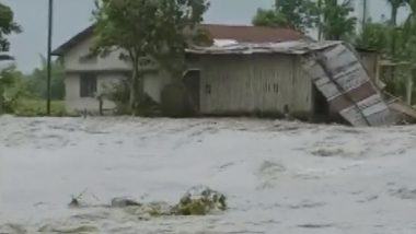 Assam Floods: Nine Animals Including Two Rhinoceros Die Due to Flood Waters in Kaziranga National Park and Tiger Reserve
