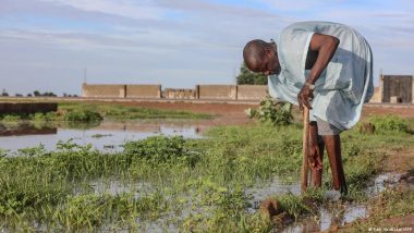 How Rural Violence Spoils Nigeria’s Harvest