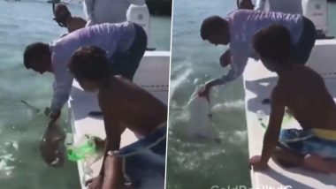 Terrifying Shark Attack Caught on Camera! Shark Bites Off Man's Finger, Shocking Video Goes Viral