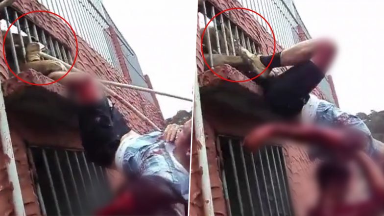 Man Gets Mauled by Two Lions, Left Bloodied After Trying To Click Pictures Near the Cage, Disturbing Video Goes Viral (Graphic Warning)