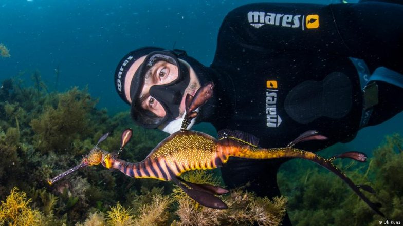 Marine Biologist Uli Kunz and His Fascination with the Sea - Vimarsana News