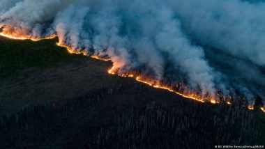 How Canada's Wildfires Really Started