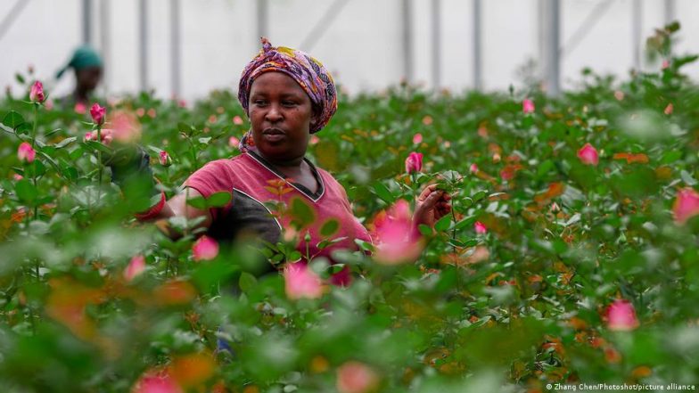 Kenya Signs EU Trade Deal in Shift to Look Beyond Africa