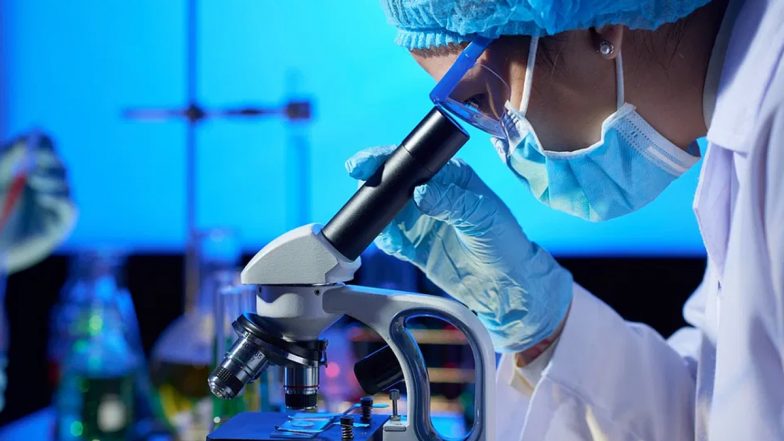 Human Embryo With Heartbeat Created! UK Scientists Create New Human Embryo Model With Its Own Heartbeat