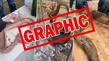 Snake Meat Video: Man Stuffs and Roast Serpent for Feast, Netizens Divided Over Taste (Graphic Content)