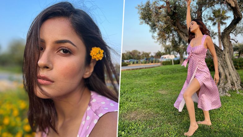 Shehnaaz Gill Looks Effortlessly Beautiful in Polka Dot High Slit Dress! (View Pics)