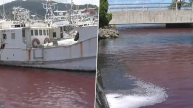 Japan Sea Turns Blood-Red Videos: Gruesome Shade of Red in Okinawa Sea After Sprung Leak From Beer Factory, Residents Share Clips