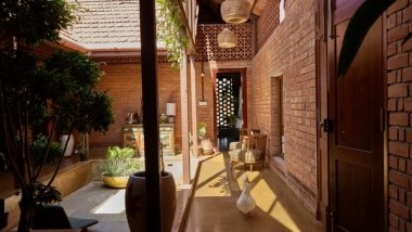 Business News | Revitalizing Barren Land: Coquito's Transformation into a Sustainable Farming Community