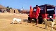 India News | Two Stray Dogs in Varanasi Catch Attention of Foreigners, Set to Go Abroad