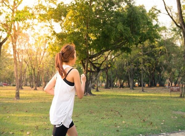 Protection of Existing Parks Essential for Biodiversity Conservation, Says Study