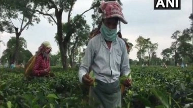 India News | Assam: Tea Producers Call for Collaborative Action from All Stakeholders to Overcome Industry Challenges