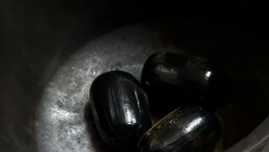 India News | Two Arrested with Gold Worth Rs 1 Cr Hidden in Rectum at Hyderabad Airport