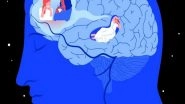 World News | Israeli Research Reveals Brain's Mechanism for Memory Consolidation During Sleep